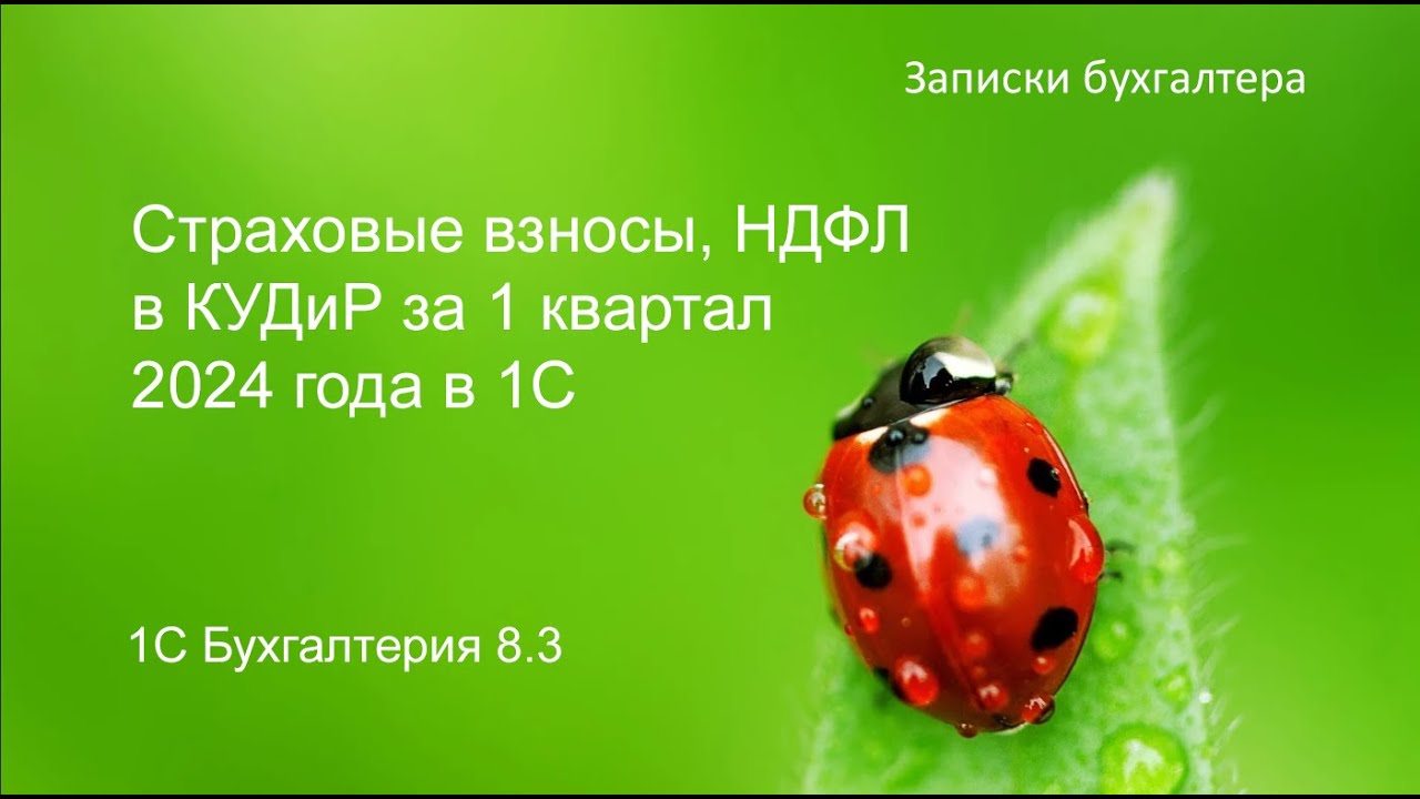 Страховые взносы, НДФЛ в КУДиР за 1 квартал 2024 года в 1С
