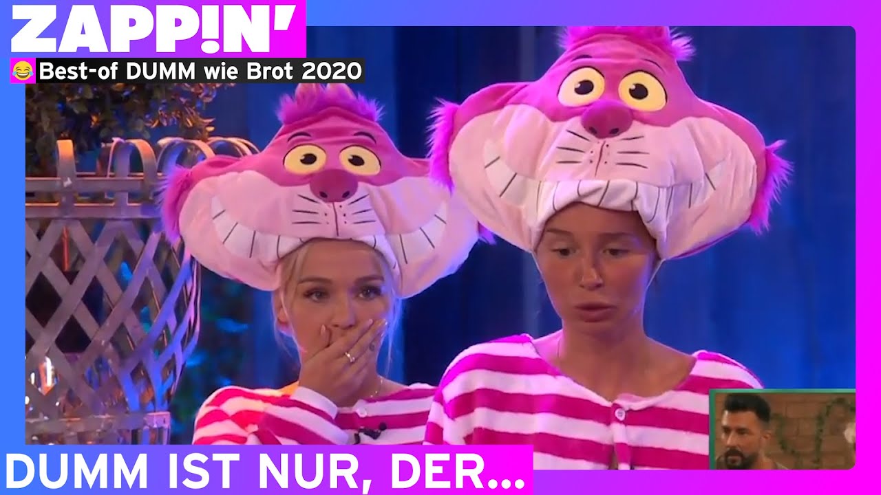 Best of 'DUMM WIE BROT' 2020!  by Zappin'