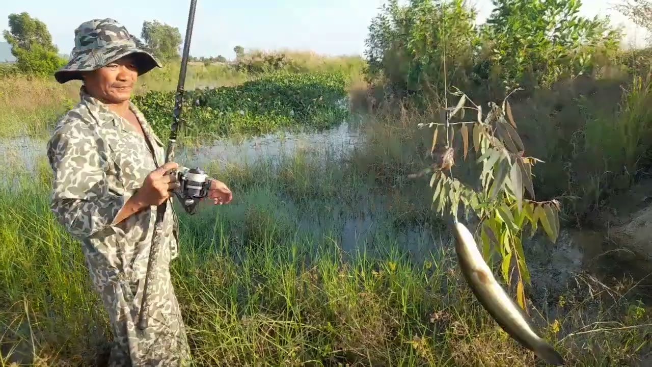 2 Ngày Săn Cá Lóc Đen cùng Các Sư Phụ.