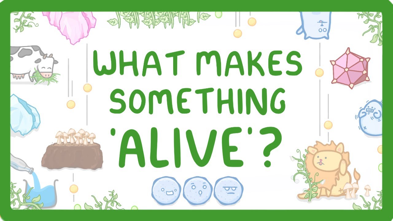 GCSE Biology -  Characteristics of Living Things (Organisms) (2026/27 exams)