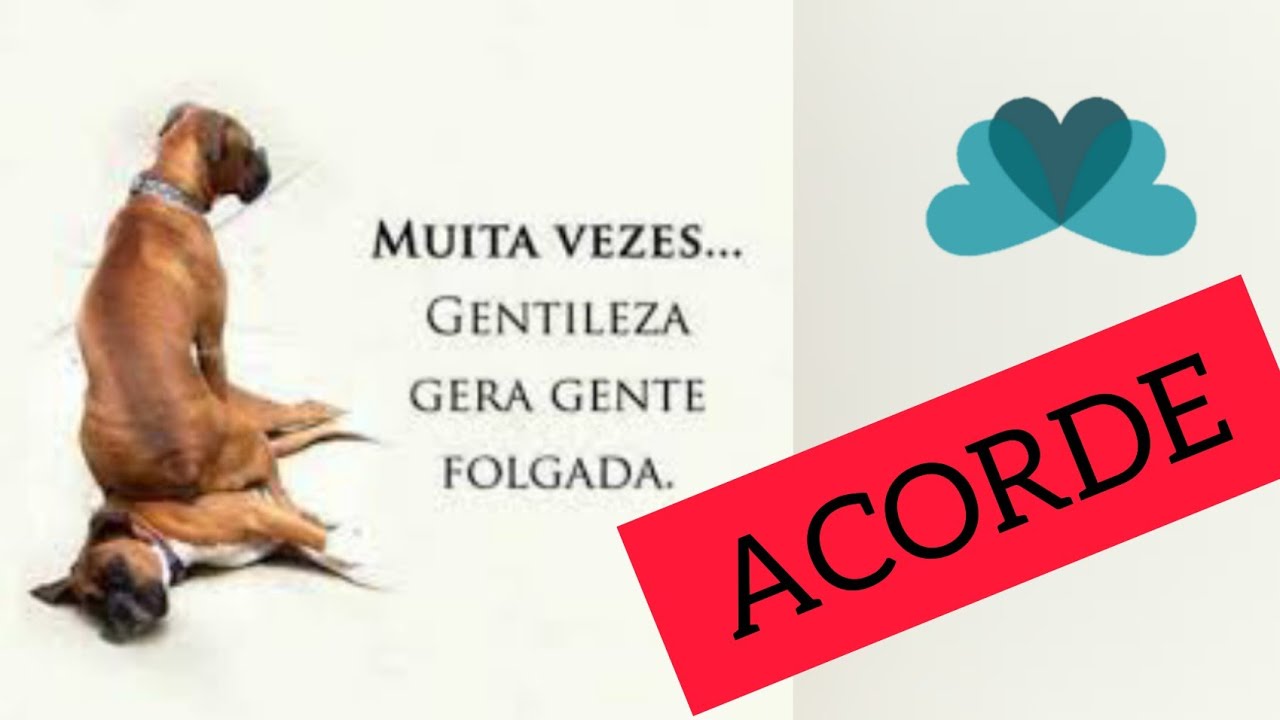 GENTILEZA DEMAIS, GERA GENTE FOLGADA | Psicanalista Elias Sousa ( Tel. atual 33.99823.0044)