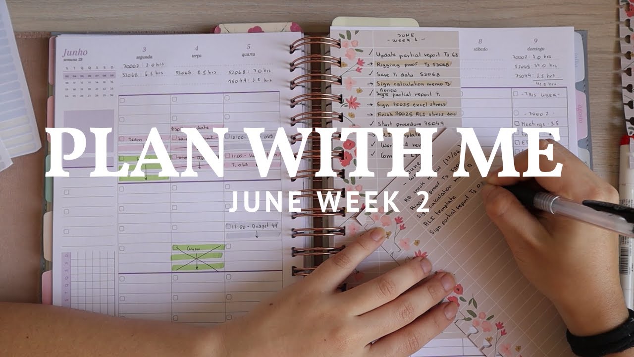 June 10-17 l Functional Plan with Me l Work Planner
