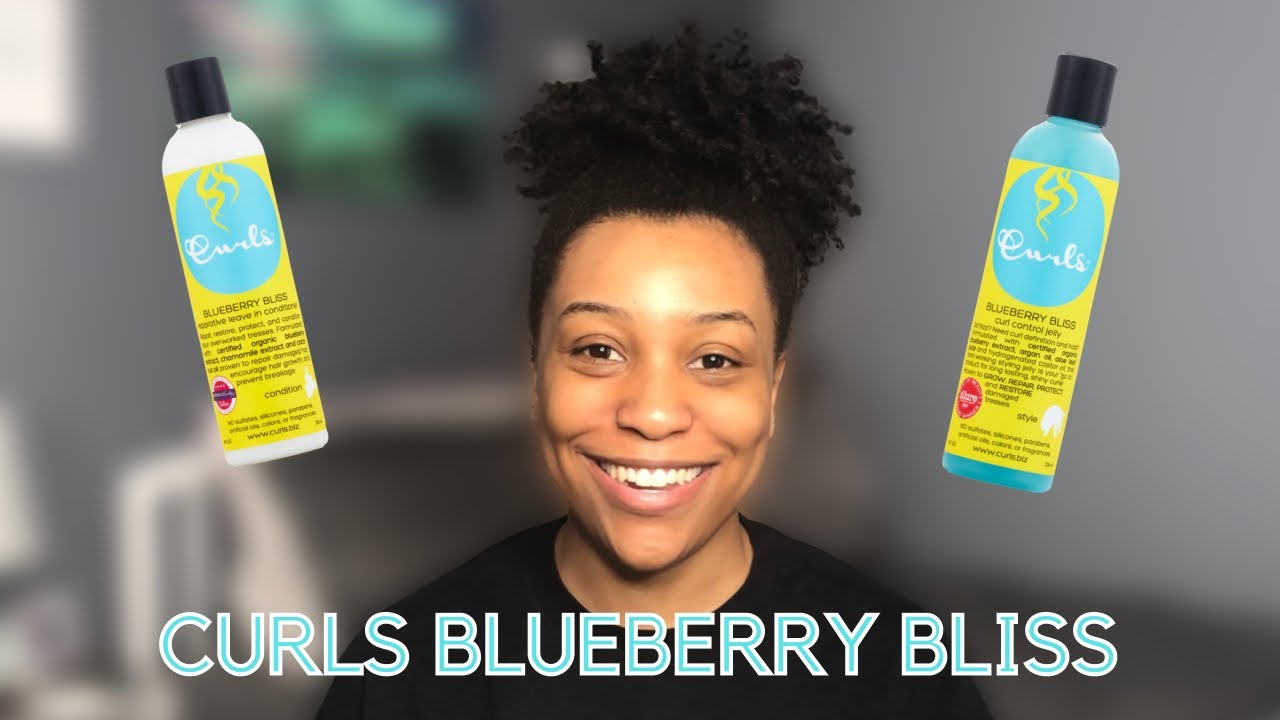 Curls Blueberry Bliss Wash N&rsquo; Go | Being Brionna