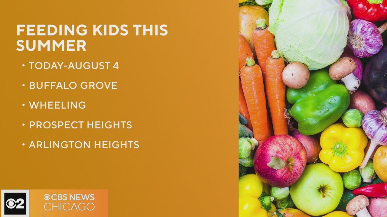 Community Consolidated School District 21 offering free summer lunches