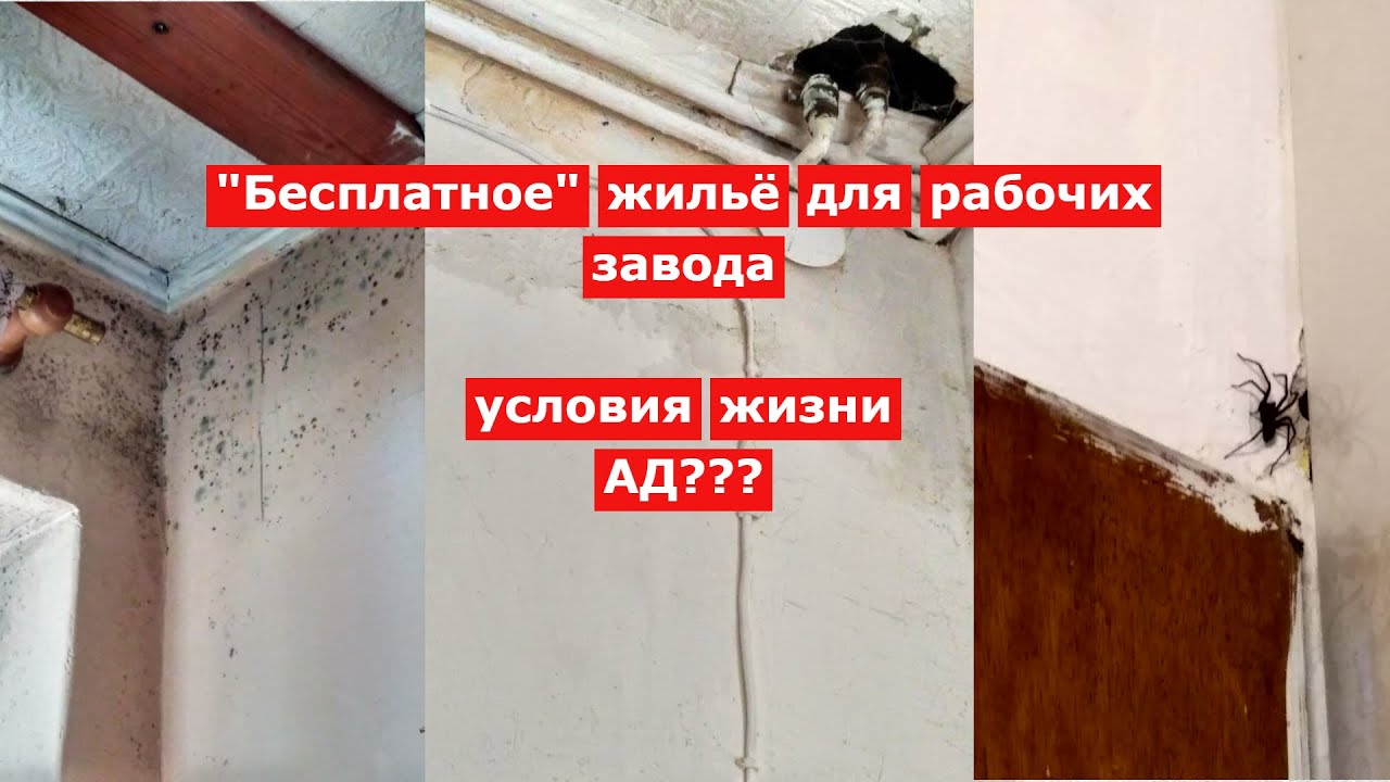 Хостелы в Польше для рабочих