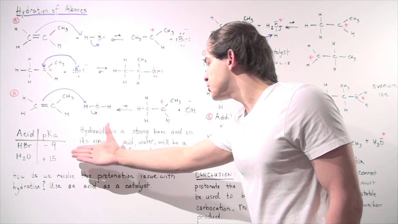 Hydration Reaction and Mechanism