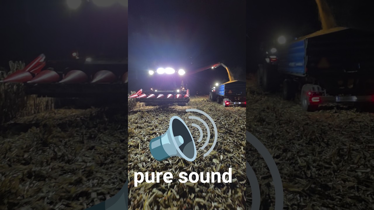 #puresound