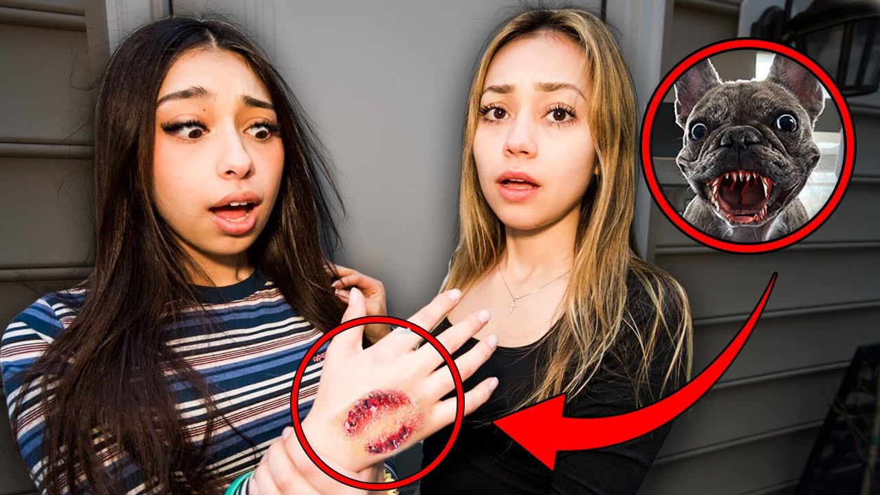 My Dog BIT My Little Sister!