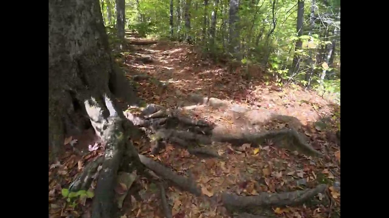 Mount Chocorua Loop Trail | Dog-Friendly White Mountains Hike 🥾🐕