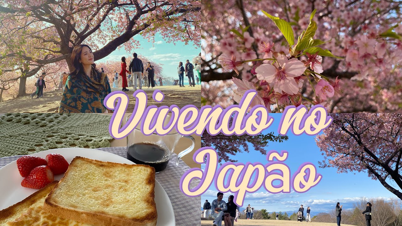 Uma vida tranquila morando no interior do Japão 🌸✨💐💭🫶🏻 Está chegando a primavera!!!!