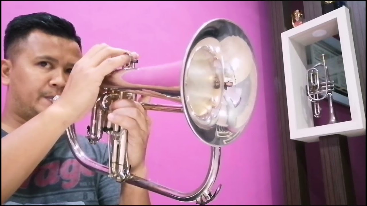 What A Wonderful World - Louis Armstrong (Flugelhorn Cover)