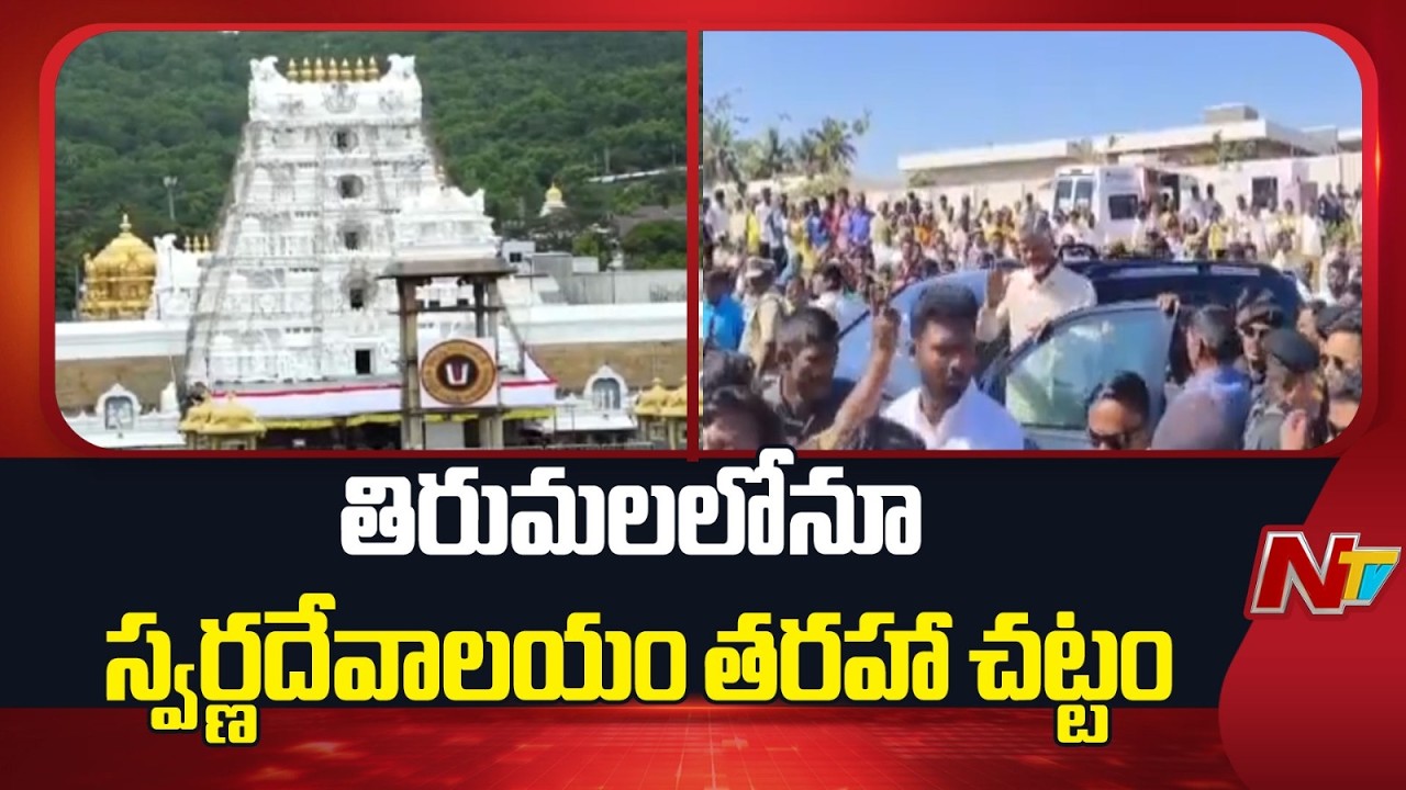 Tirumala: తిరుమలలోనూ స్వర్ణదేవాలయం తరహా చట్టం | NTV Telugu