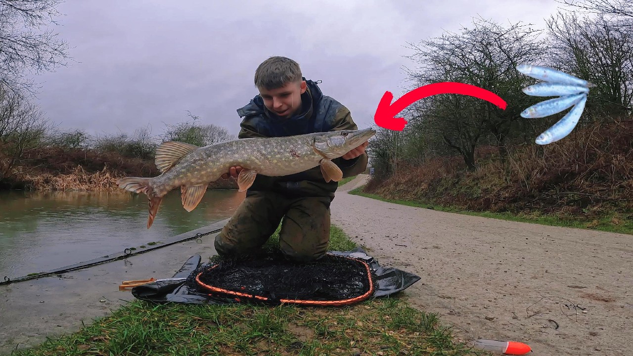 PIKE Absolutely DESTROYED These SARDINE Baits!