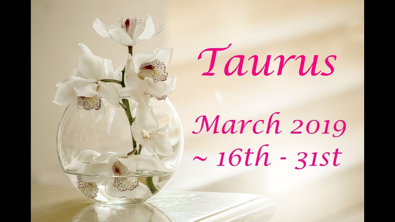 Taurus ♉️💖 They see a future with you....