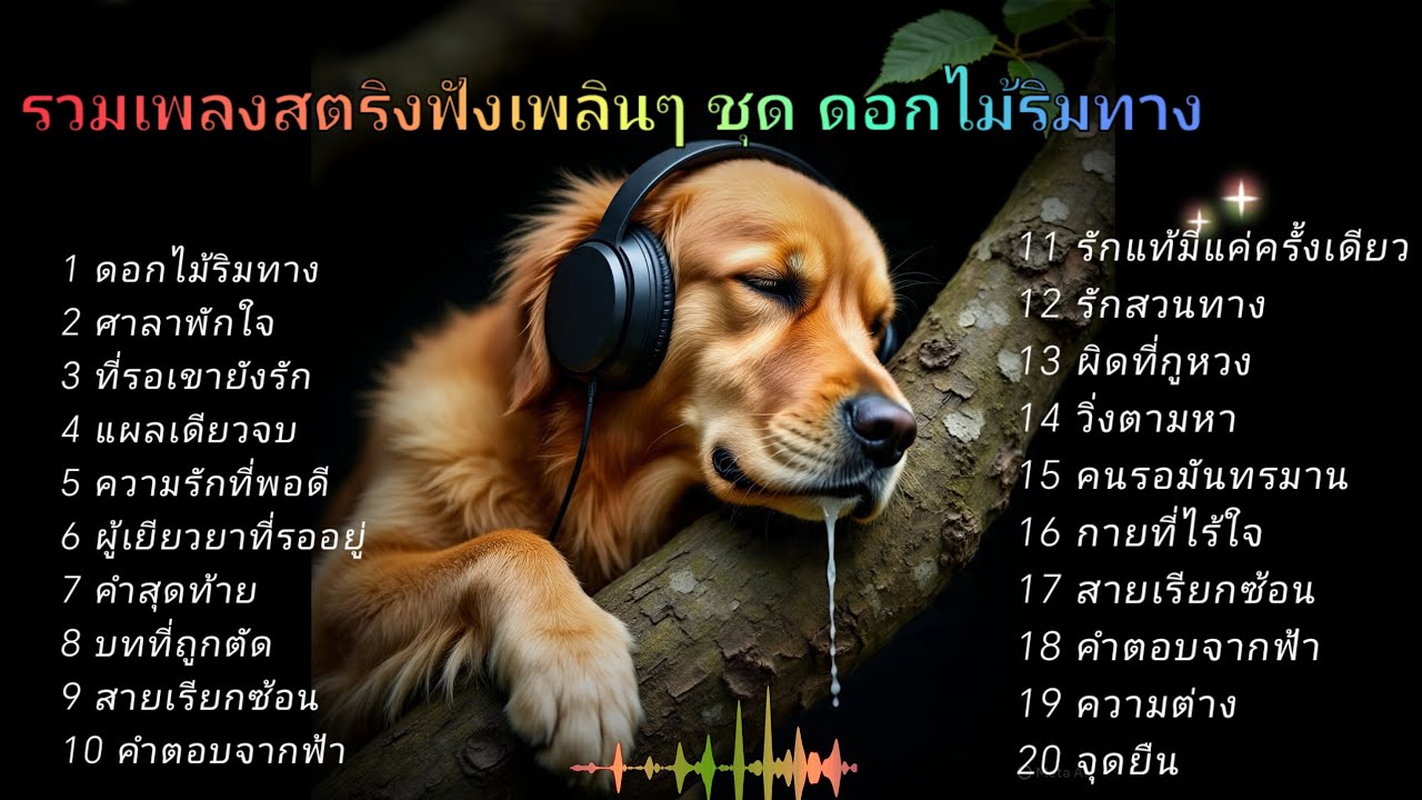 รวมเพลงสตริงฟังเพลินๆ ชุด ดอกไม้ริมทาง 💔💔💔