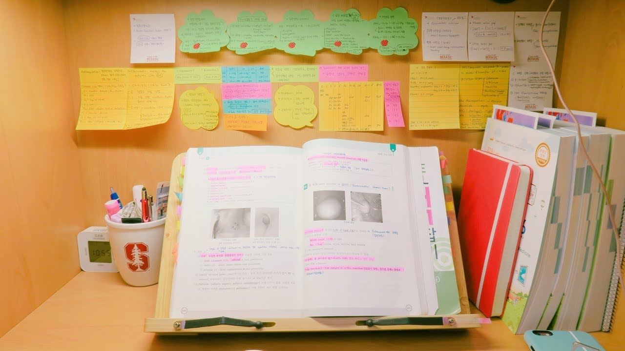 Things You Need to Bring to the Library: My Study Essentials l twinklinglena