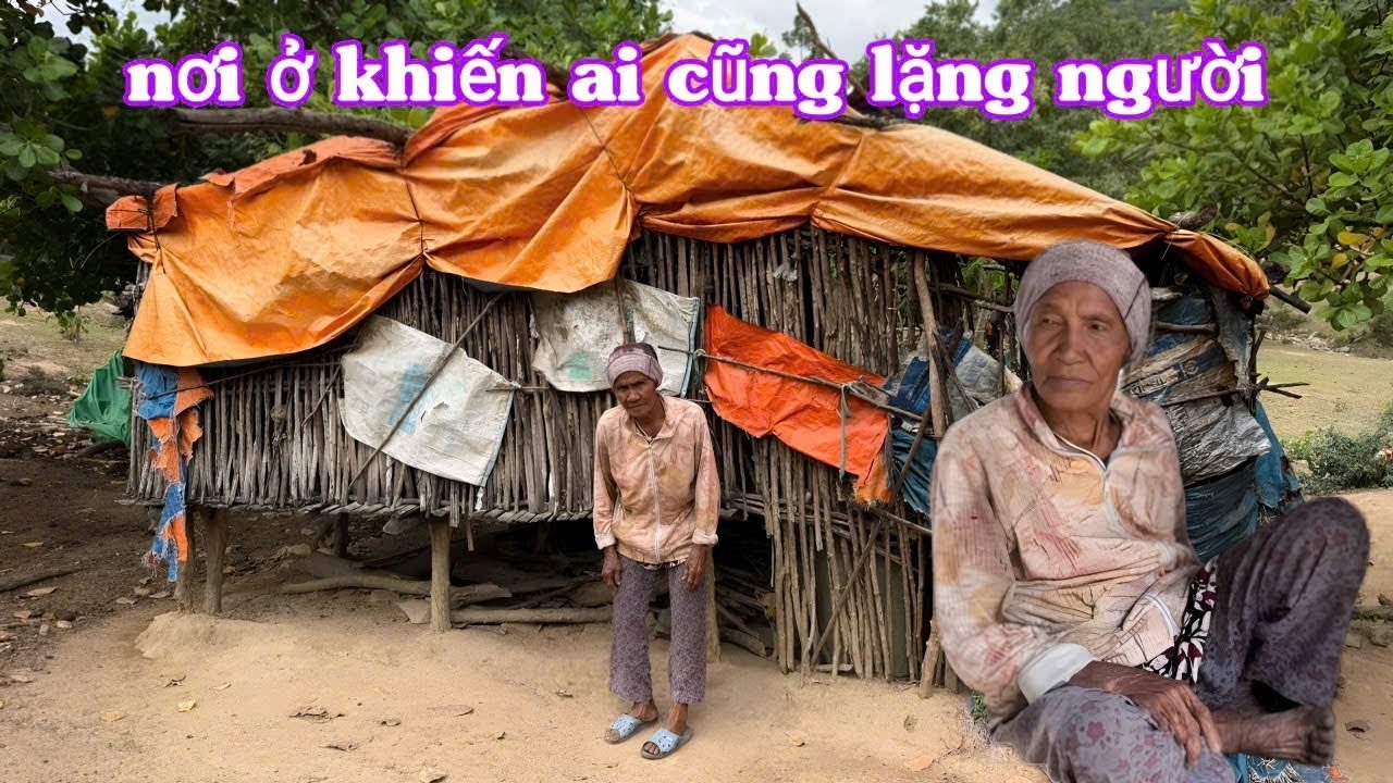 BÀ CỤ 80 tuổi sống CÔ ĐƠN trong căn chòi RÁCH NÁT, chỉ mong có đủ cơm ăn mỗi ngày | 734
