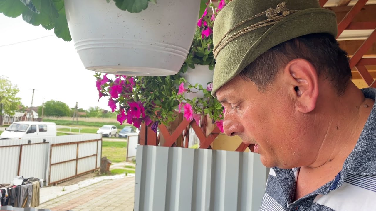 Anyós - Só konyhája pirított sertésmáj & töpörtyű