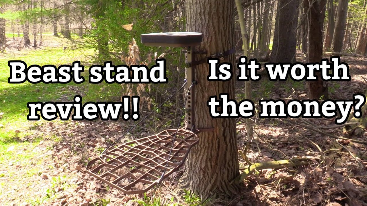 Hunting Beast Stand Hang-on Review!!! Is it worth the money??? - Ridge Raised Outdoors