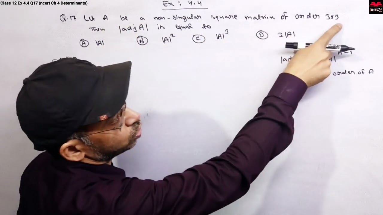 Class 12 Maths Exercise 4.4 Question 17 | Chapter 4 Determinants Class 12th Math | NCERT Solutions