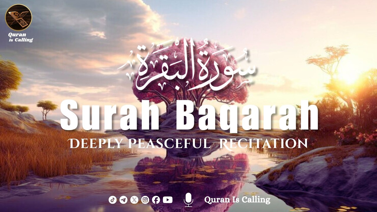 Surah Al-Baqarah (سورة البقرة) | Peaceful Quran to Calm Your Heart & Mind | Aalaa Aqeel | Soothing