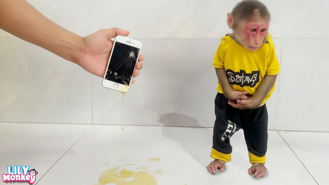 Lily cried after Dad accidentally got her precious phone wet | Lily's story