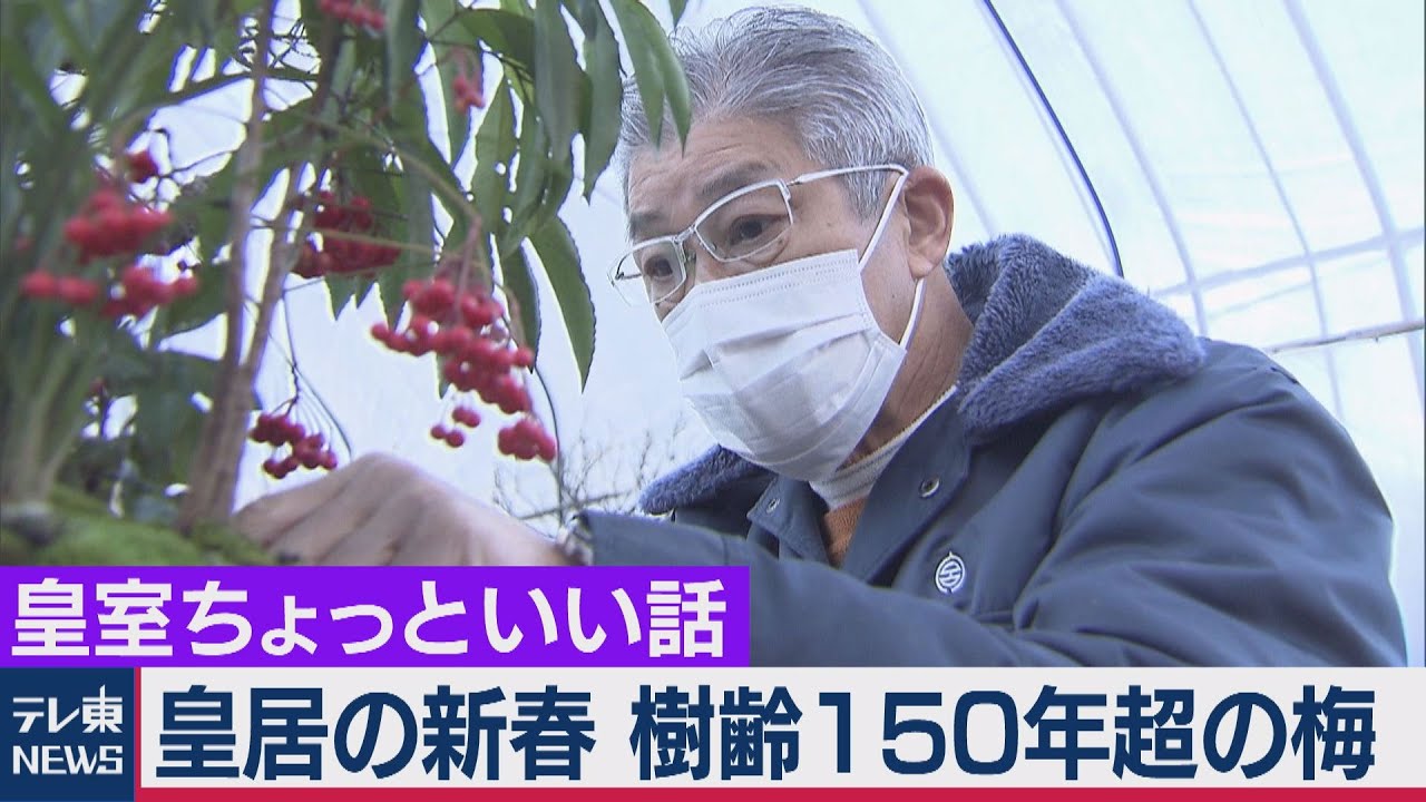 皇居や御所の正月飾りはとにかく縁起もの集めて！樹齢150年超の梅で寄せ植え…3代将軍家光愛した樹齢550年の松も有する宮内庁庭園課の新春準備【皇室ちょっといい話】(19)（2020年12月22日）