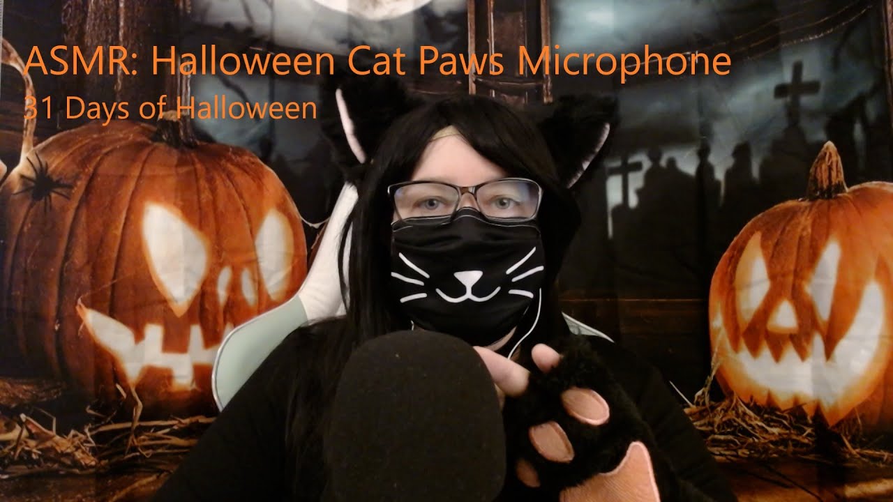 ASMR Costume Cat Paws Massage the Microphone. (No Talking)