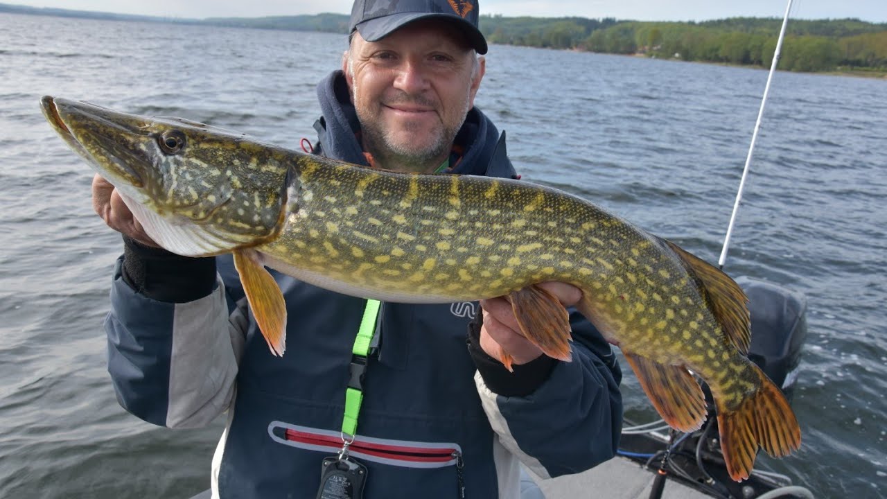 Szczupaki z przewodnikiem, jezioro Żarnowieckie 🎣🎣🎣