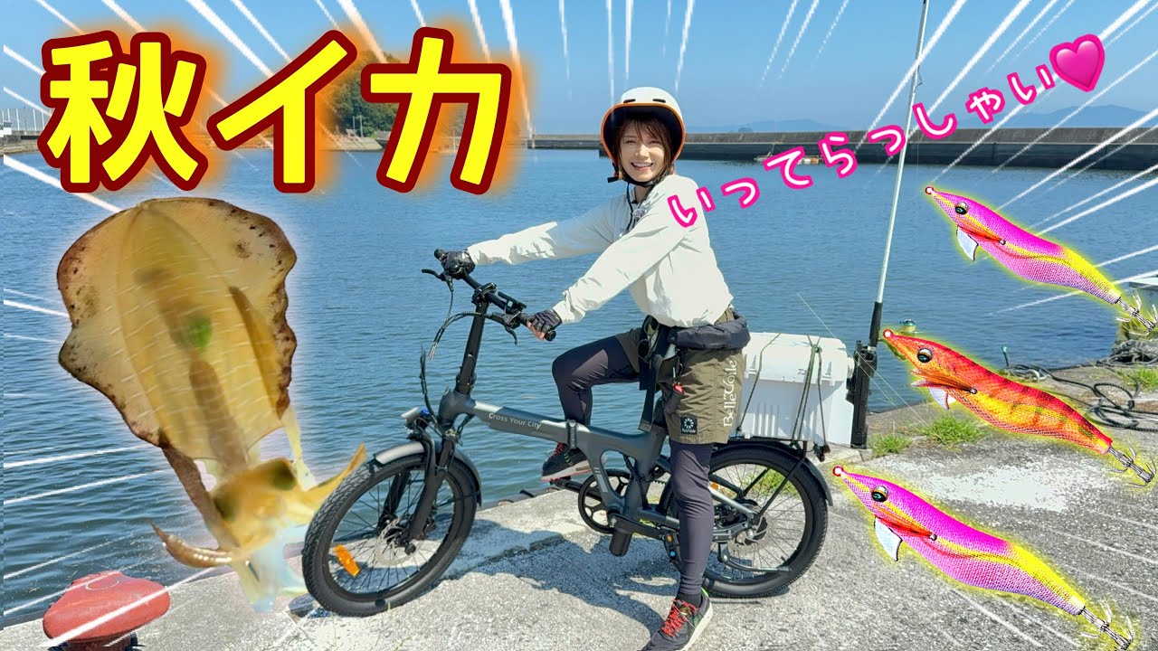 【エギング】みっぴの自転車で秋イカ釣りに行ってらっしゃい♩