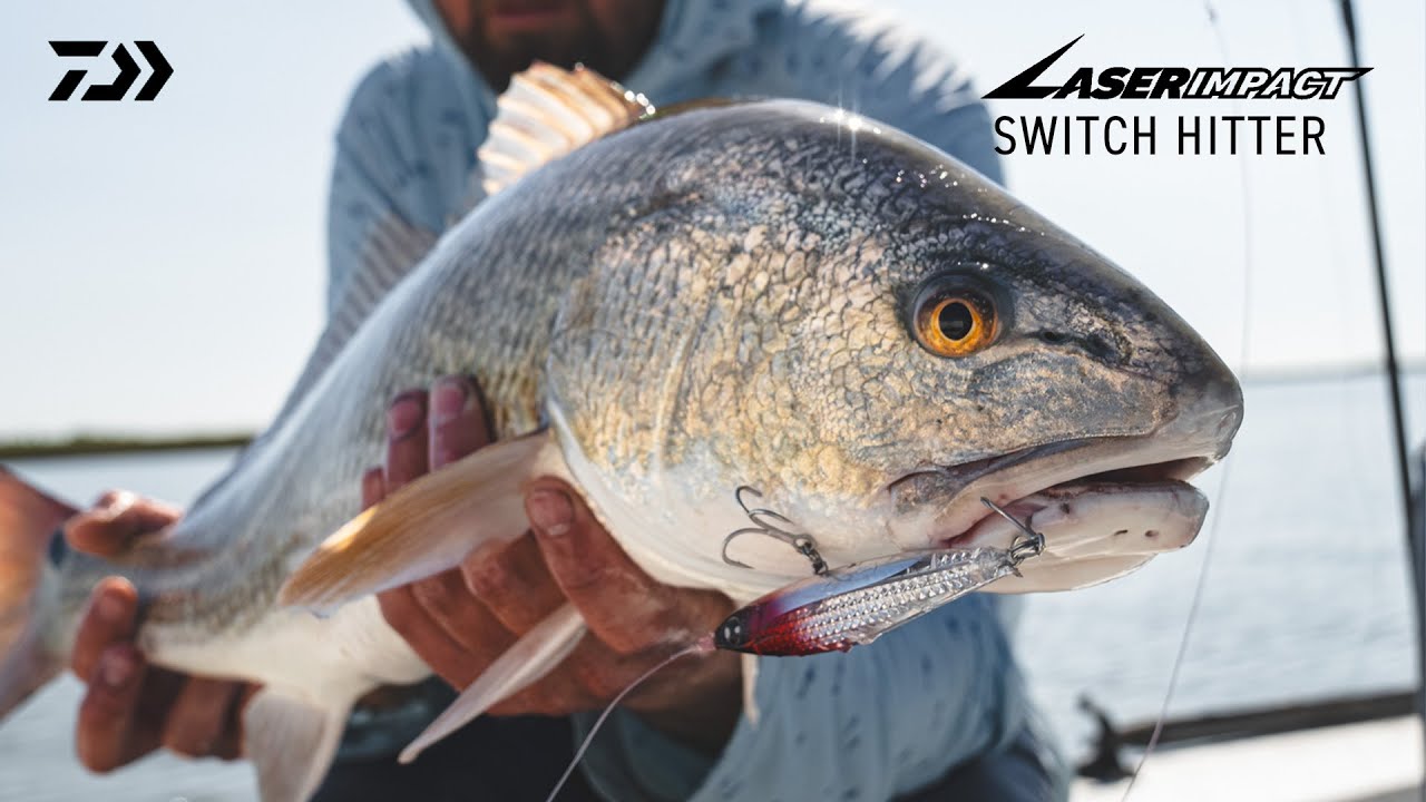 Introducing: Daiwa 2025 Switch Hitter Lures