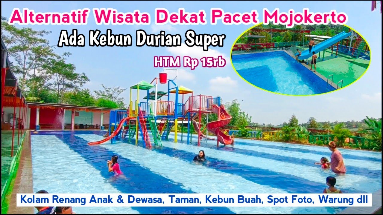 Kebun Pandansari Gondang Mojokerto Terbaru