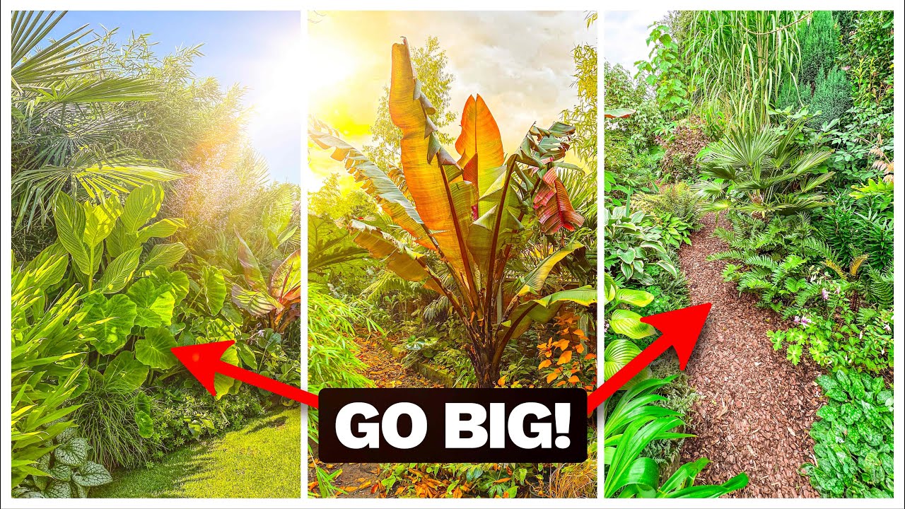 5 Habits of Great Gardeners - Improve Your Garden with Design Tips & Inspiration