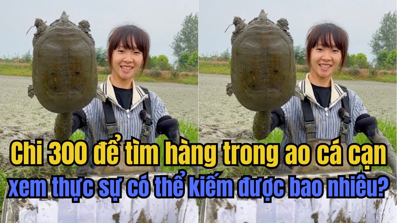 Chi 300 Tệ  