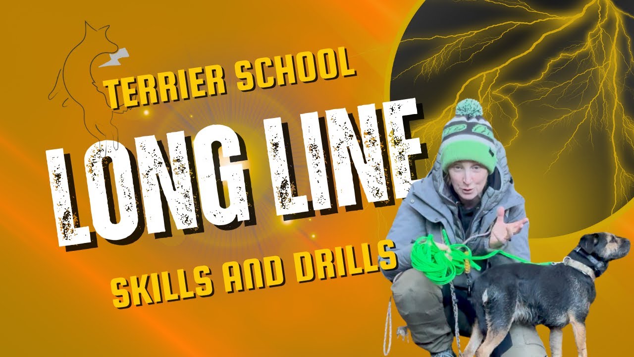 Long line skills and drills for training your terrier