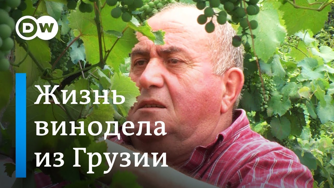 Грузинский винодел, или как живет Аджария без российских туристов