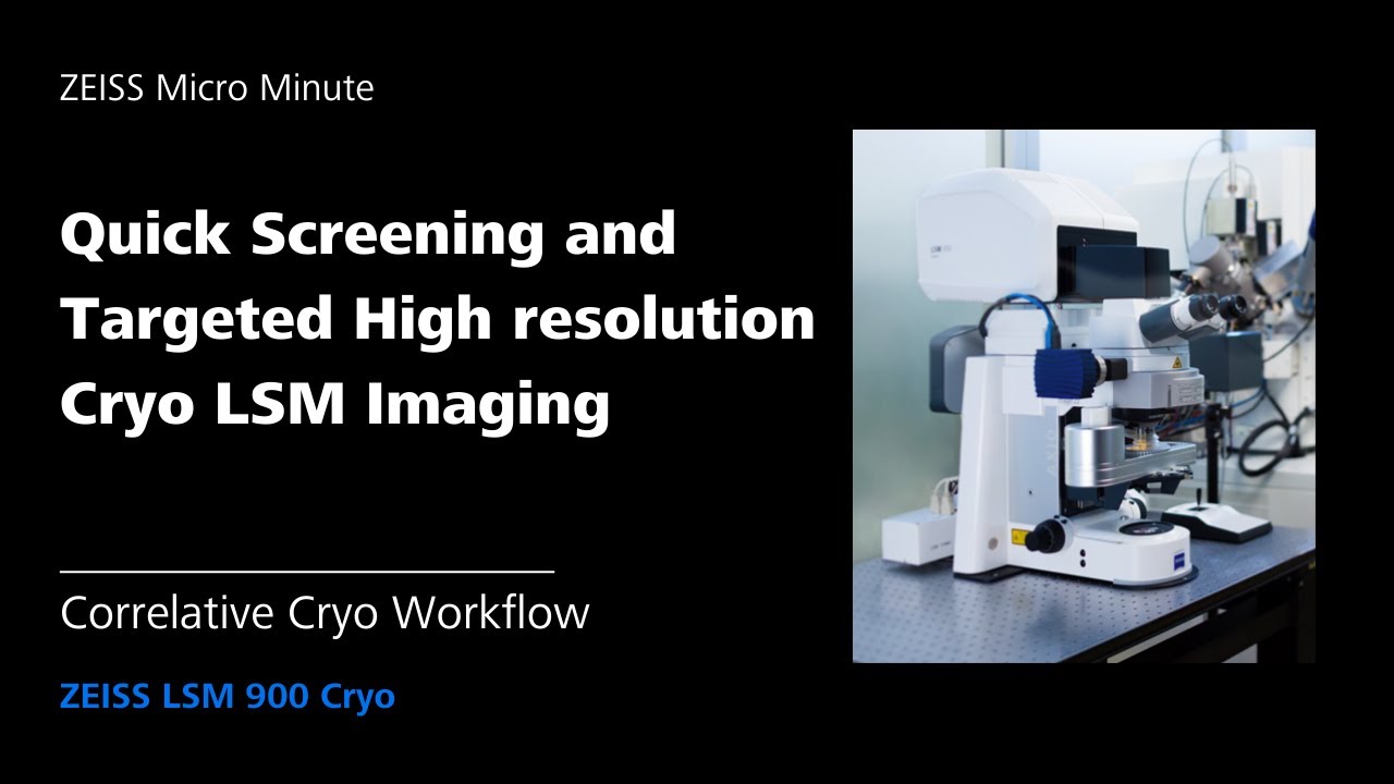 Quick Screening and Targeted High resolution Cryo LSM Imaging|&nbsp;ZMCC Live Demo |&nbsp;Episode 20
