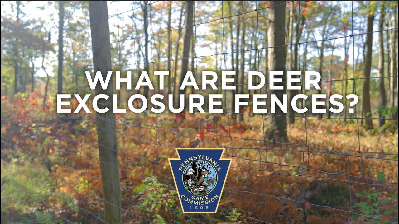 What Are Deer Exclosure Fences?