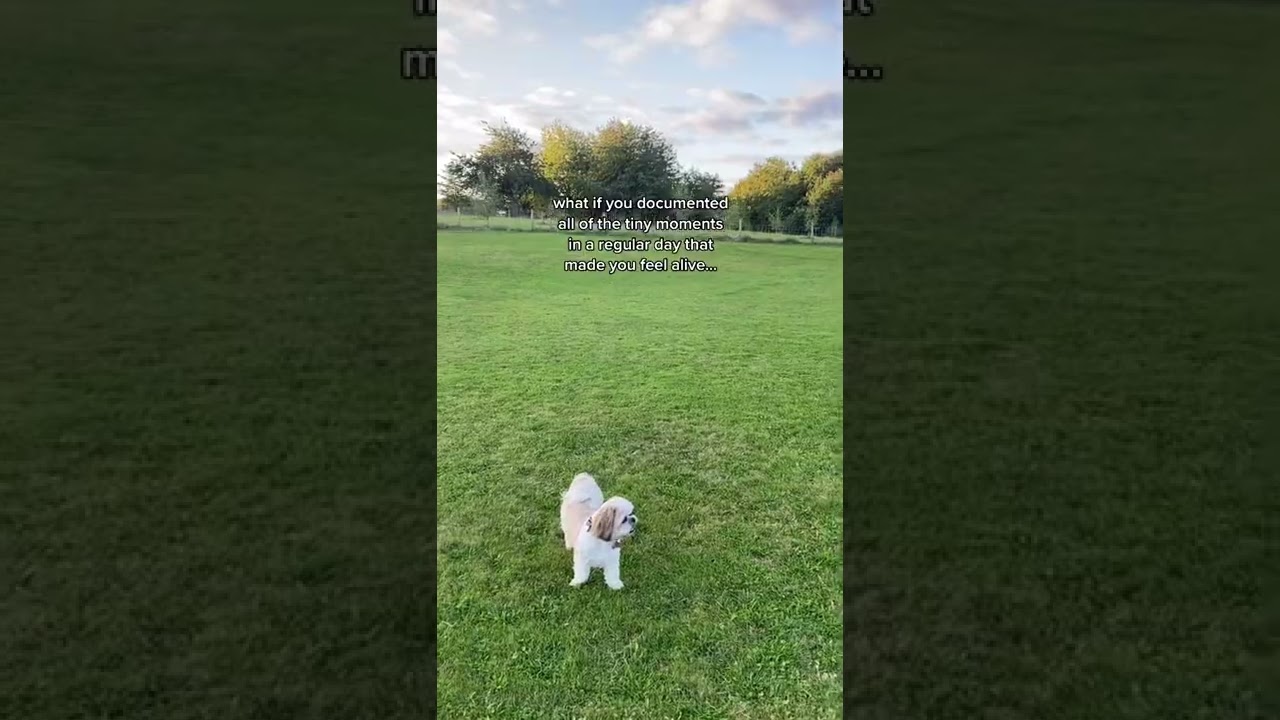 It's all the little things via jodie.melissa on tiktok