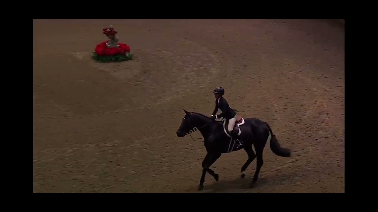 Smooth Operator, 7 year old. Children’s hunter at the Royal. 