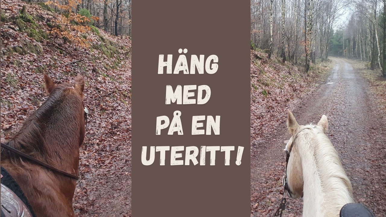 Vi tog en uteritt i regnet!
