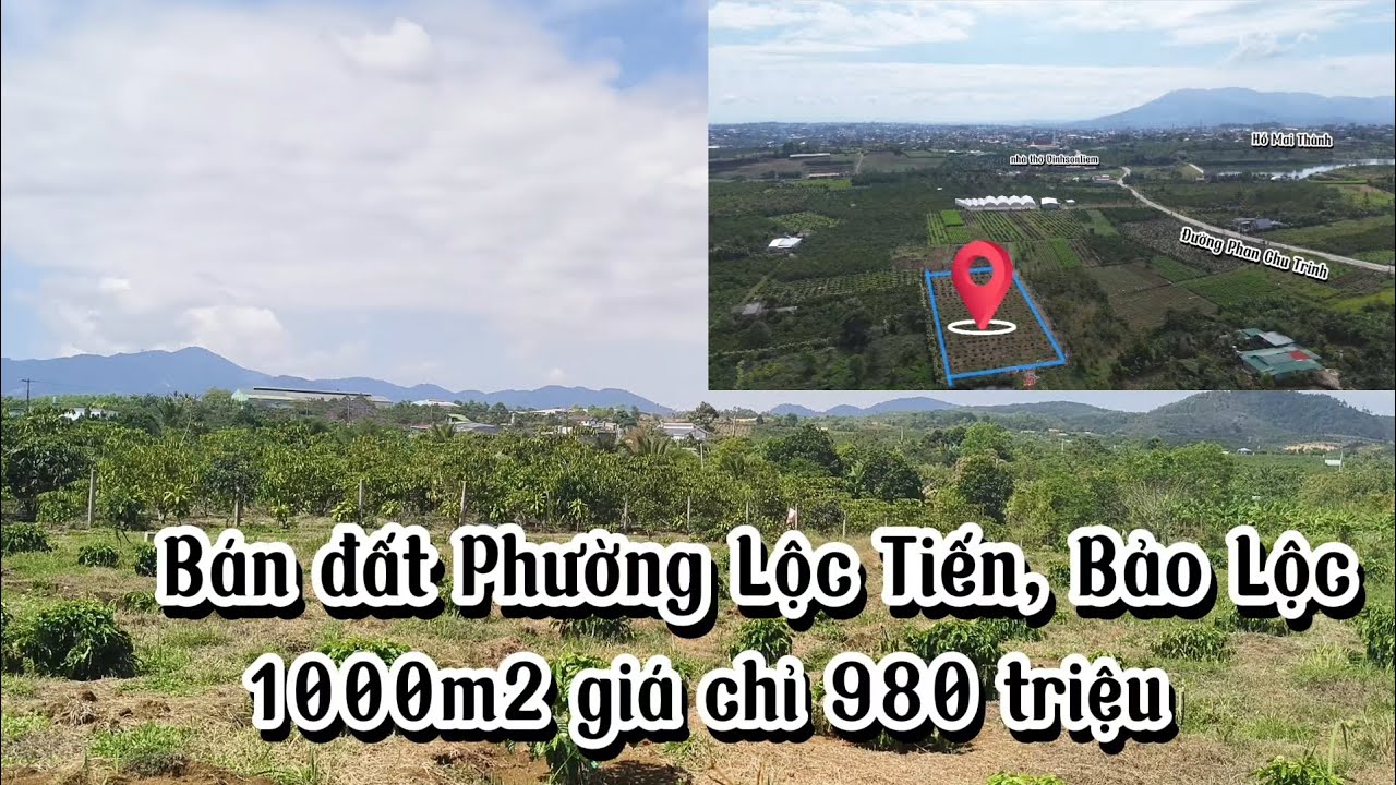 Bán đất gần hồ Mai Thành, Phường Lộc Tiến, TP. Bảo Lộc|| Đường xe hơi tận nơi, đất bằng phẳng 