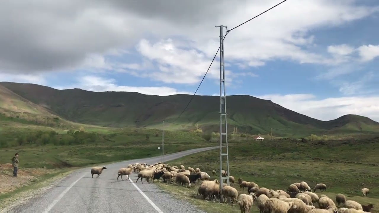 Malatya Arapgir Bostancık Köyü (Kolhamza ) 28.04.2023