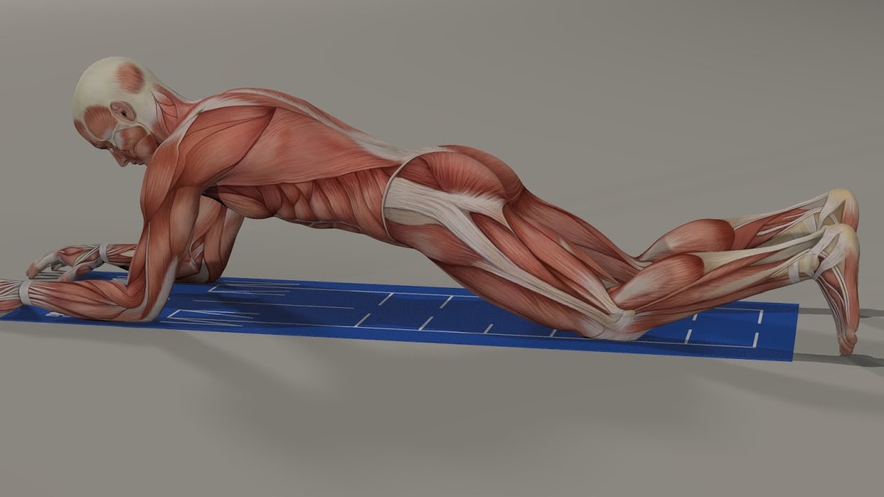Can you handle the 8 Point Plank?