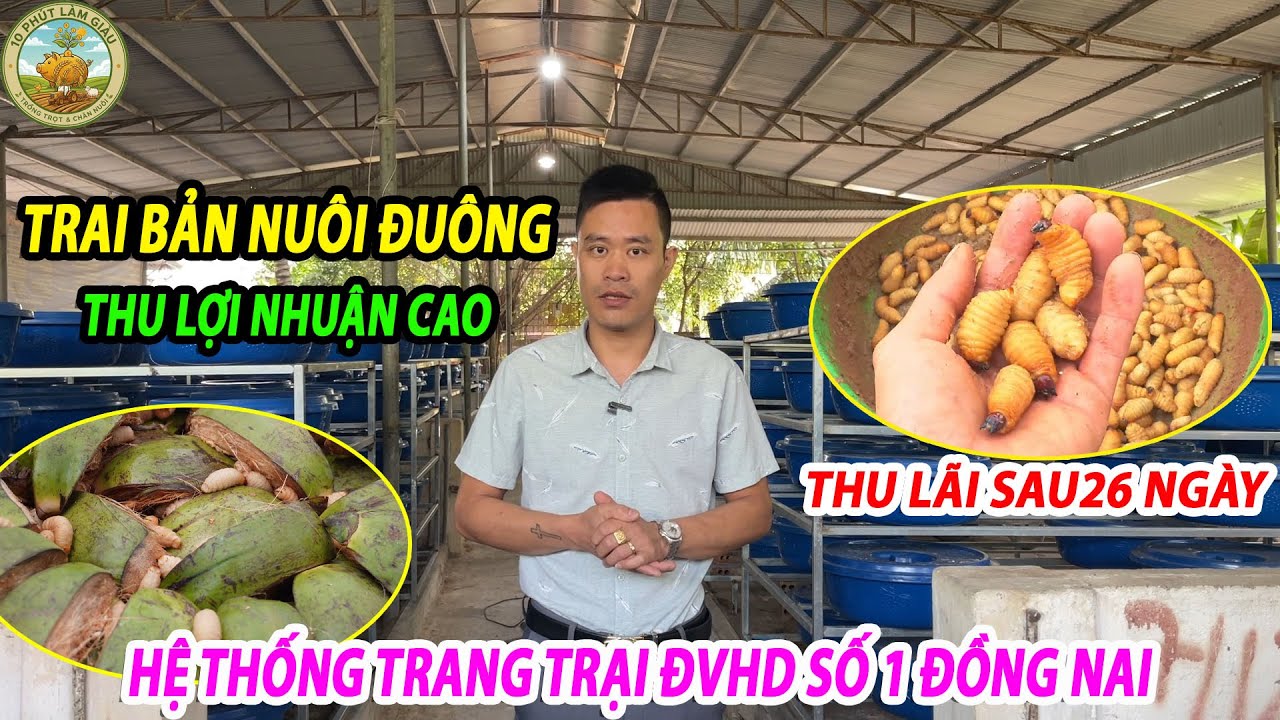 TRAI BẢN NUÔI ĐUÔNG THU LỢI NHUẬN CAO-THU LÃI SAU 26 NGÀY |10 PHÚT LÀM GIÀU