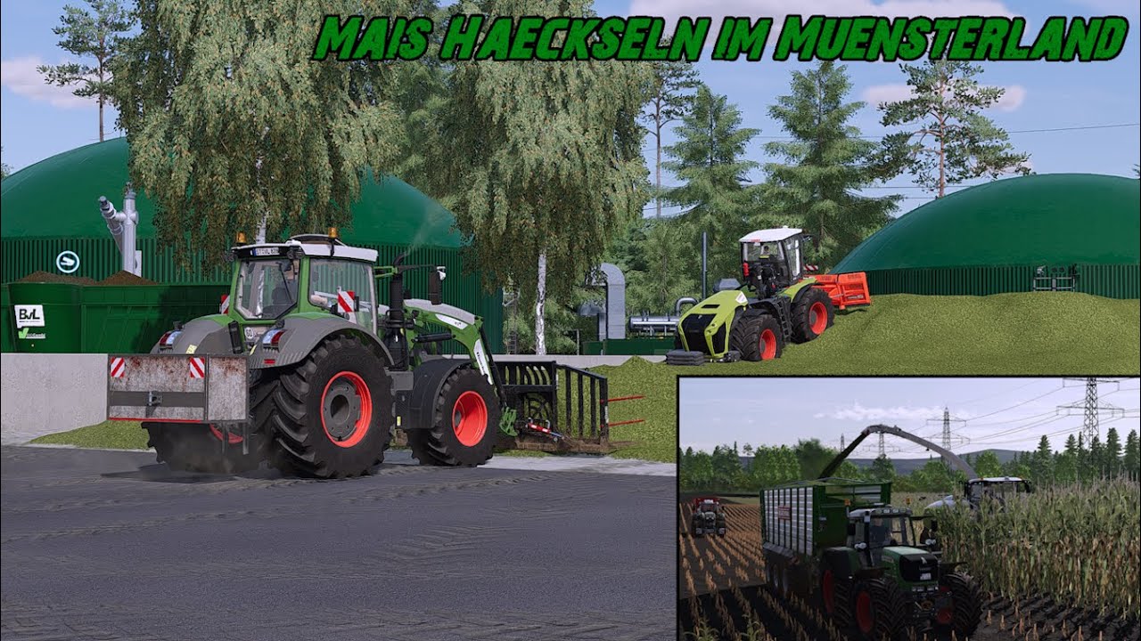 Mais Häckseln im Münsterland! | Landersum