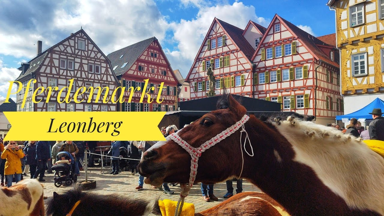 Leonberger Pferdemarkt. Germany 🇩🇪 Horse market.
