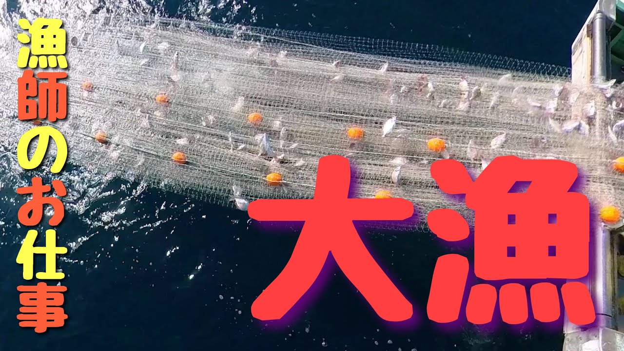 [漁師のお仕事]久々の大漁！！！