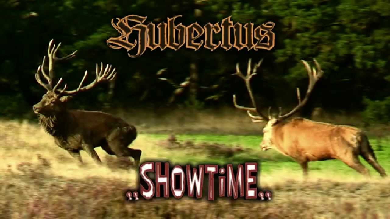 Hert/ Deer Hubertus Showtime, Nat. Park de Hoge veluwe