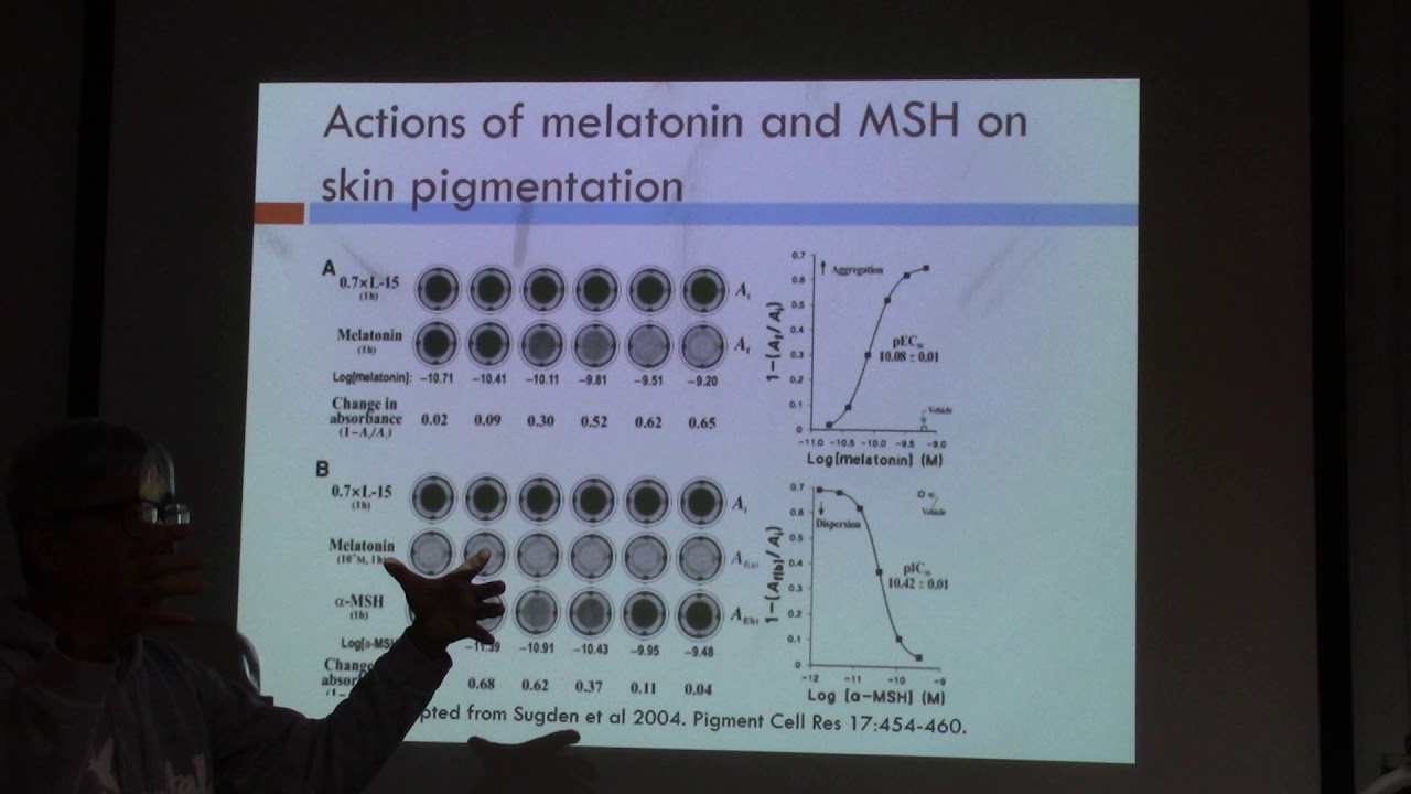 The Pineal Gland and Melatonin